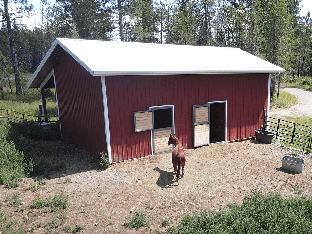 Red horse barn with a white roof