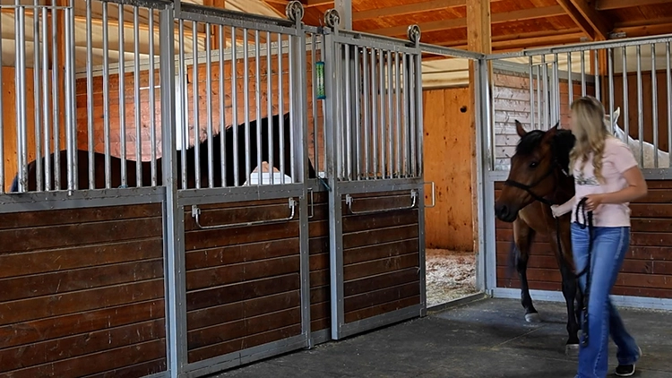 A woman leads her horse into a custom build stall in her horse barn
