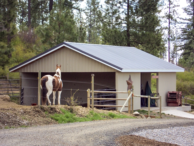 A horse stands outside of a pole barn 